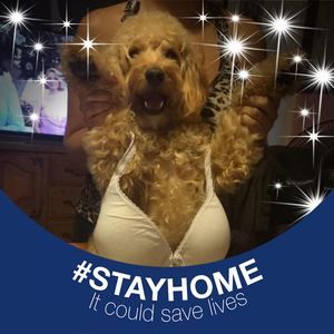 Meet your Posher, Anita